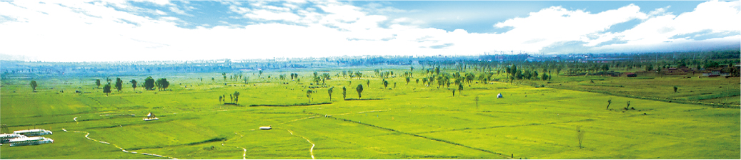 20171229/29761e00bc3efc0d9a92866f36635c6c.jpg 29761e00bc3efc0d9a92866f36635c6c.jpg