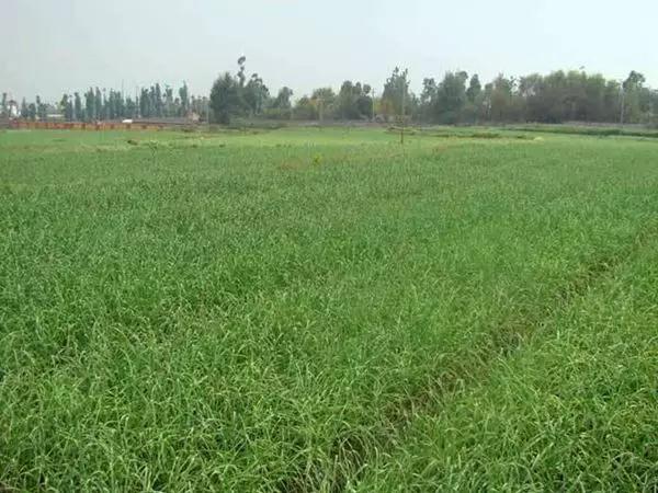 20180717/fe94b8de846c7c929bc41db4cb207c24.jpg fe94b8de846c7c929bc41db4cb207c24.jpg