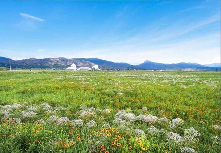 20180929/9dfdccbf00ba1b1296475b235971e209.jpg 9dfdccbf00ba1b1296475b235971e209.jpg