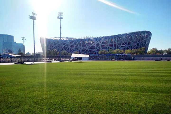 20181101/18544b3ed1bd14fe7f2bccba7123db97.jpg 18544b3ed1bd14fe7f2bccba7123db97.jpg