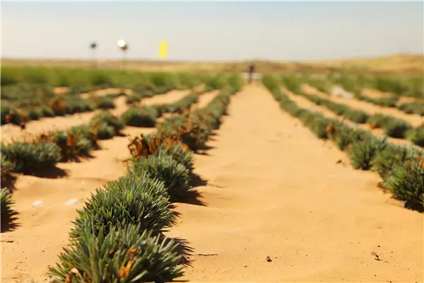 20190619/ddb20cee05e0226b77775cc5e09cf2e5.png ddb20cee05e0226b77775cc5e09cf2e5.png