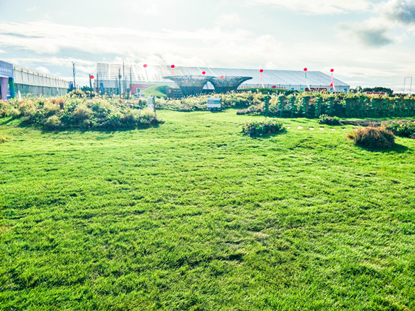 20190829/7736b35fae02270cdd416363569391e9.jpg 7736b35fae02270cdd416363569391e9.jpg