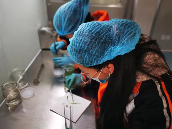 20191108/54d172bab3ab314fb5eff77698b92c4d.jpg 54d172bab3ab314fb5eff77698b92c4d.jpg