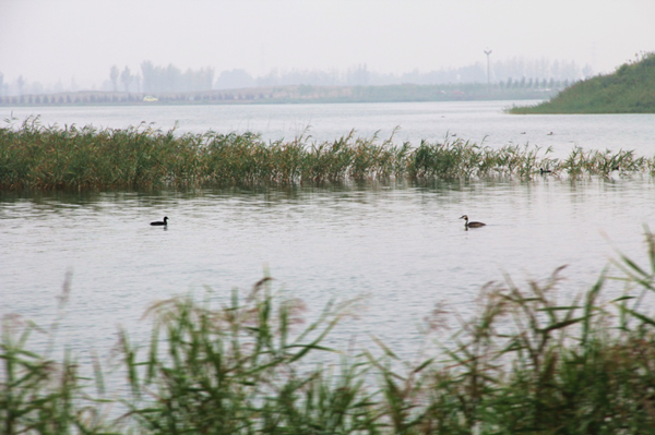 20200120/78c4d9f5eea75b79e8220941471f239c.png 78c4d9f5eea75b79e8220941471f239c.png