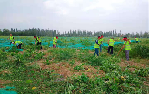 20200323/2cf7920f4d543a02f4fde62f3c5faccf.png 2cf7920f4d543a02f4fde62f3c5faccf.png