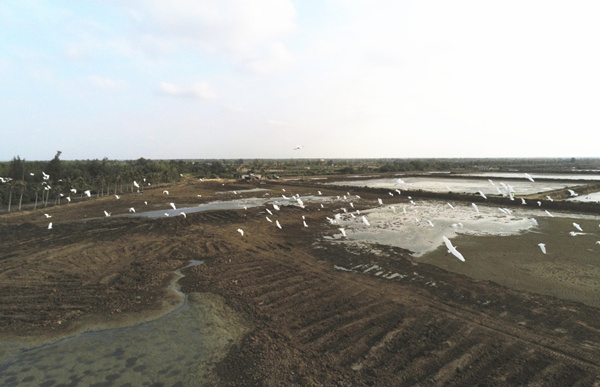 20200406/989d820fca63fd7f566a431591284974.jpg 989d820fca63fd7f566a431591284974.jpg