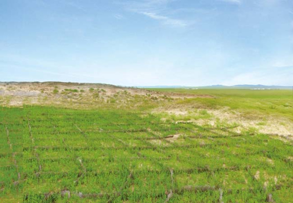 20200429/2e539dffb62c0fc993d931f59c99e618.jpg 2e539dffb62c0fc993d931f59c99e618.jpg