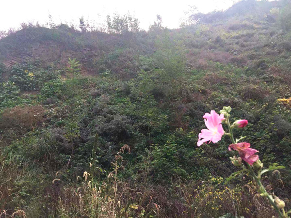 20200507/635d5bfa3416480e0db4e83c3e6831c6.jpg 635d5bfa3416480e0db4e83c3e6831c6.jpg