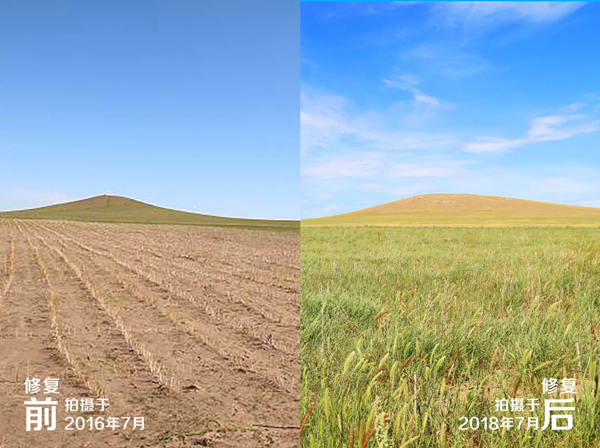 20200617/cbed7f9540c72275fd4e711c28e0783a.png cbed7f9540c72275fd4e711c28e0783a.png