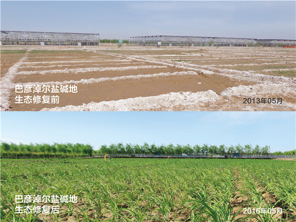 20200805/b0d5f6bf78165f672da0efc9286ec82c.jpg b0d5f6bf78165f672da0efc9286ec82c.jpg