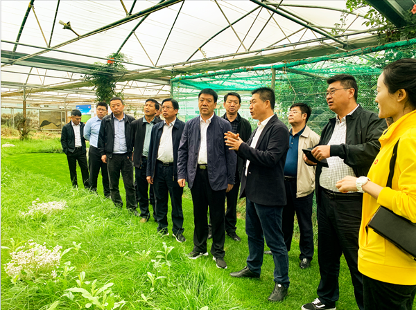 20200904/fcc92905506b8e7c96b82a4f0022bf6a.png fcc92905506b8e7c96b82a4f0022bf6a.png