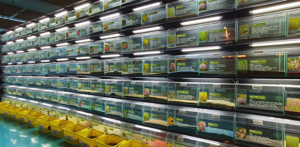 20201016/1c87e38a76b8a5d50802c02c53ddb950.jpg 1c87e38a76b8a5d50802c02c53ddb950.jpg