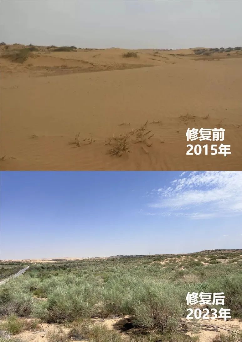 20240313/afe82207b3bbf6b53872fba3e5786614.jpg 20240313/afe82207b3bbf6b53872fba3e5786614.jpg