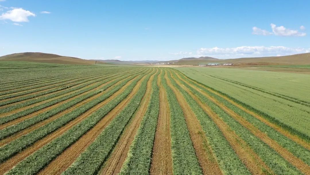 20240313/cee489c9b545d24e2695e6989f9d6d09.jpg 20240313/cee489c9b545d24e2695e6989f9d6d09.jpg