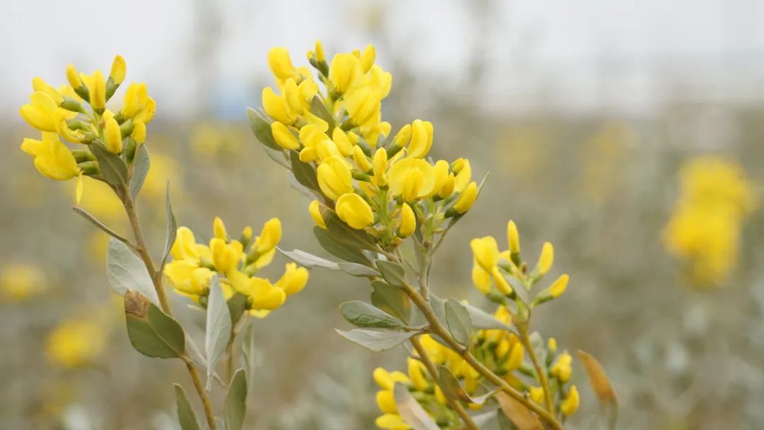 20240415/31f6d730fe36739af4c99b42b281c4eb.jpg 20240415/31f6d730fe36739af4c99b42b281c4eb.jpg