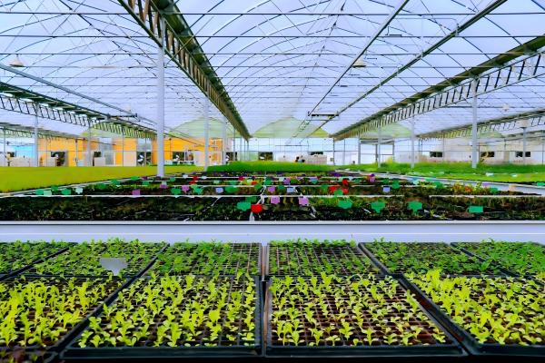 20240830/74b98b851bc8798d68b8ee6ed979ea9b.jpg 74b98b851bc8798d68b8ee6ed979ea9b.jpg