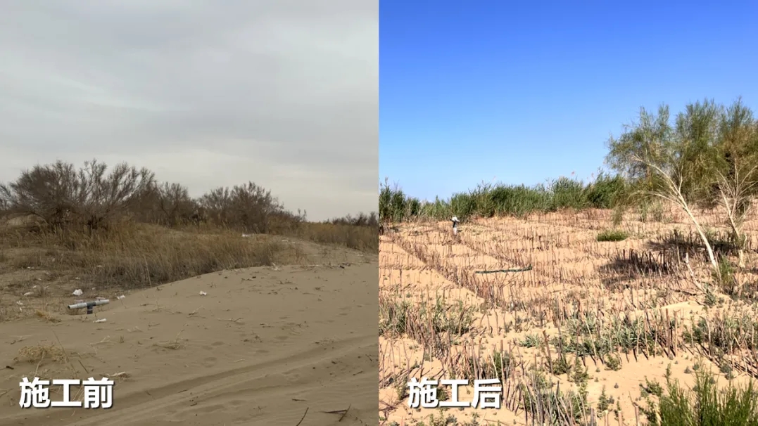 20250225/ba46b0b01ee4bbe784e4798f3f161522.jpg 20250225/ba46b0b01ee4bbe784e4798f3f161522.jpg