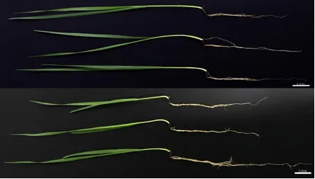 20250415/944b27d22a08244b2e9f704f538f9071.jpg 20250415/944b27d22a08244b2e9f704f538f9071.jpg