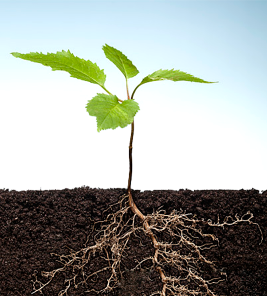 20250908/536be38e218742b707d9aebf727c5ac3.png 20250908/536be38e218742b707d9aebf727c5ac3.png