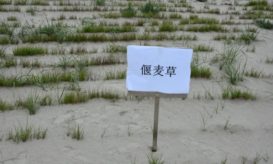 20250908/f2cd05c4f36a2281e8618b7121adf52c.jpg 20250908/f2cd05c4f36a2281e8618b7121adf52c.jpg